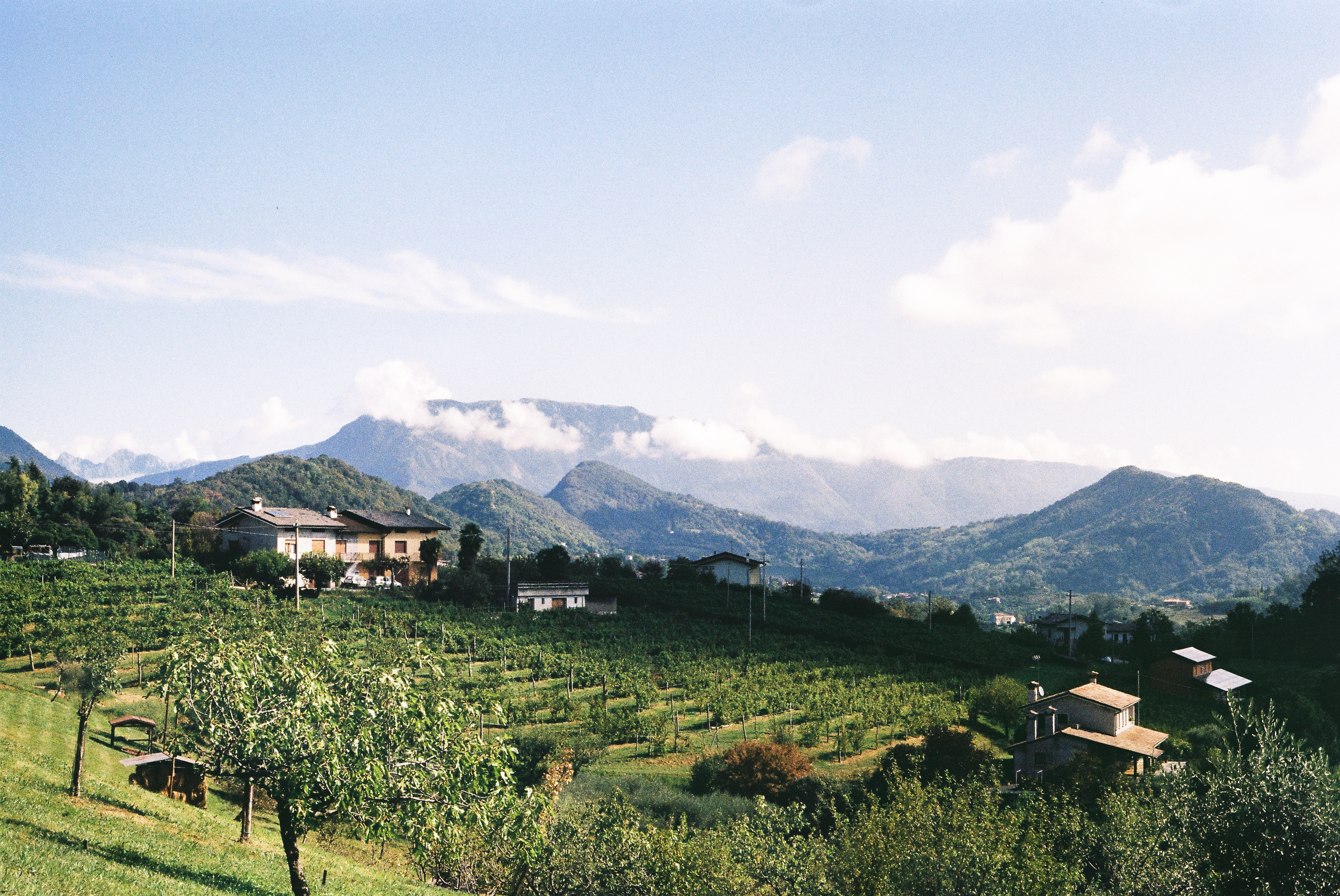 Gallery 2 – Prosecco&nbsp;Road